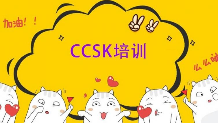 CCSK培训获得的知识与技能